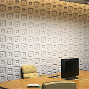 Artistic 3D wall panel - Radiant Echo 0079